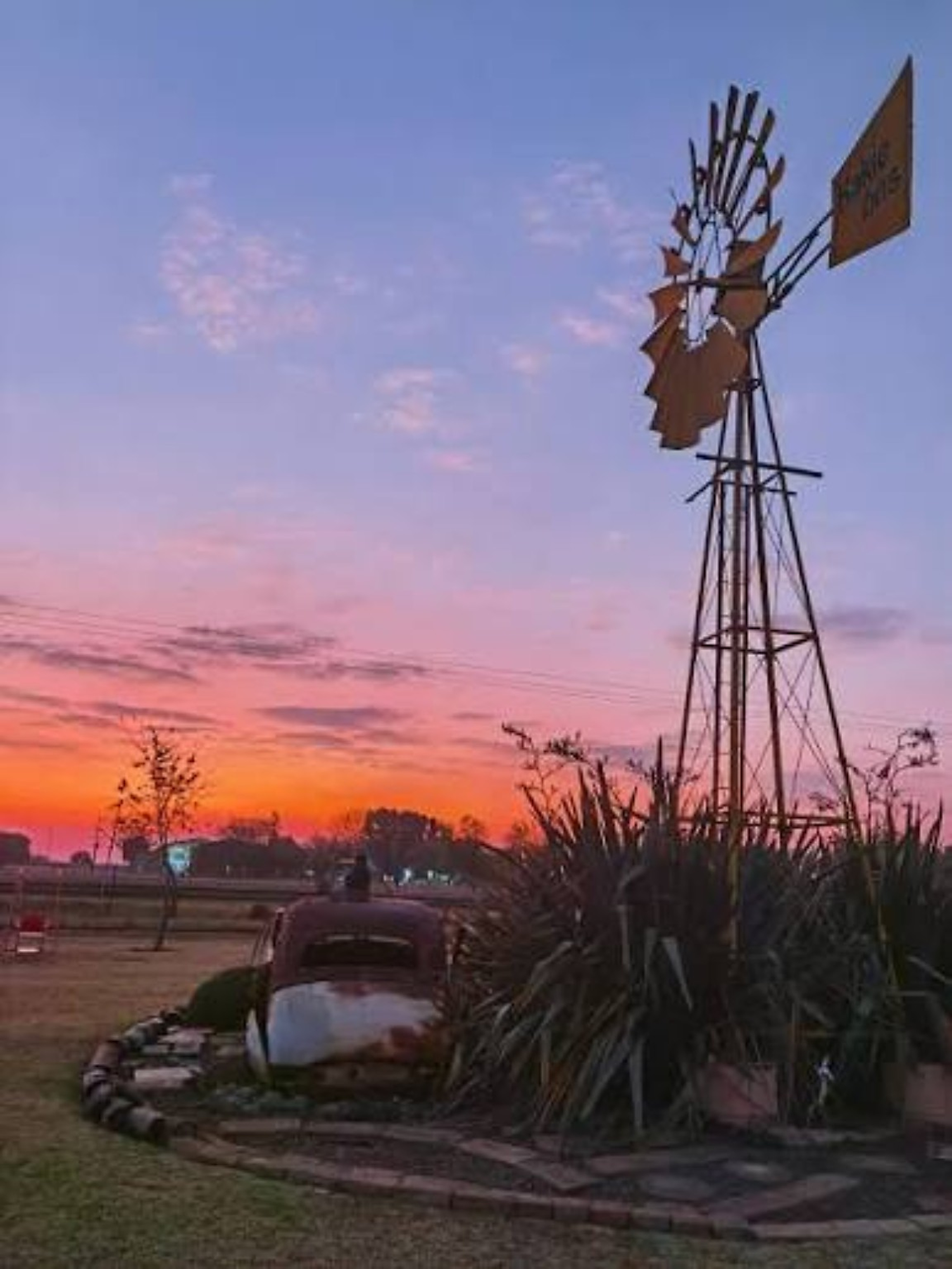 Kakiebos windmill at sunset